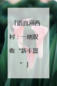 道真河西村：一地双收“新丰景”