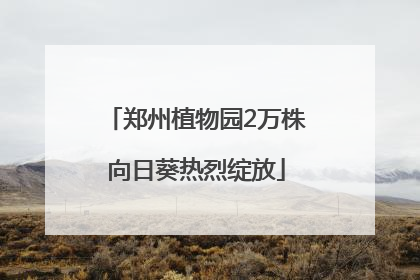 郑州植物园2万株向日葵热烈绽放