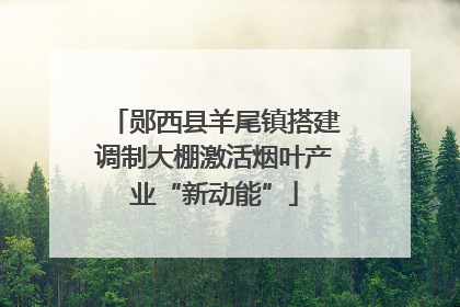 郧西县羊尾镇搭建调制大棚激活烟叶产业“新动能”