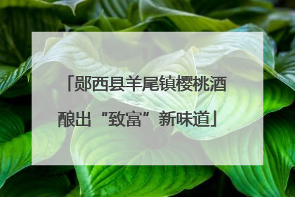 郧西县羊尾镇樱桃酒酿出“致富”新味道