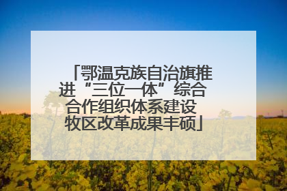 鄂温克族自治旗推进“三位一体”综合合作组织体系建设 牧区改革成果丰硕