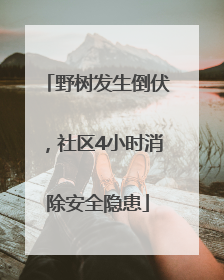 野树发生倒伏，社区4小时消除安全隐患