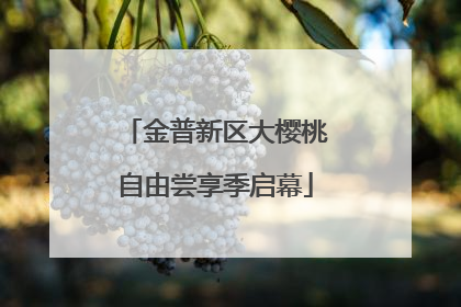 金普新区大樱桃自由尝享季启幕
