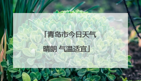 青岛市今日天气晴朗 气温适宜