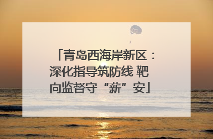 青岛西海岸新区：深化指导筑防线 靶向监督守“薪”安