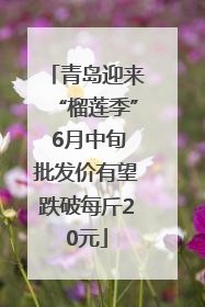 青岛迎来“榴莲季” 6月中旬批发价有望跌破每斤20元