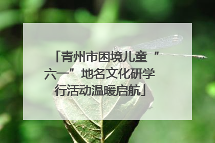 青州市困境儿童“六一”地名文化研学行活动温暖启航
