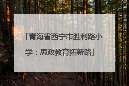 青海省西宁市胜利路小学：思政教育拓新路