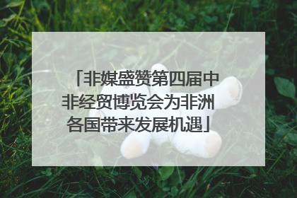 非媒盛赞第四届中非经贸博览会为非洲各国带来发展机遇