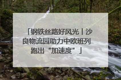 钢铁丝路好风光丨沙良物流园助力中欧班列跑出“加速度”