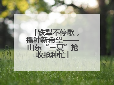 铁犁不停歇，播种新希望——山东“三夏”抢收抢种忙