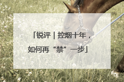 锐评｜控烟十年，如何再“禁”一步