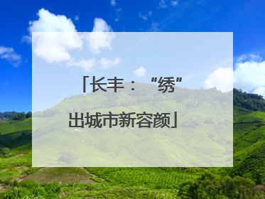 长丰：“绣”出城市新容颜