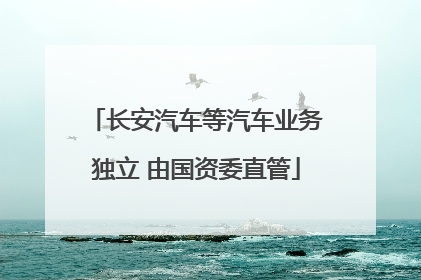 长安汽车等汽车业务独立 由国资委直管