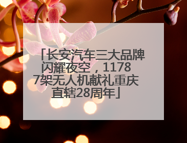 长安汽车三大品牌闪耀夜空，11787架无人机献礼重庆直辖28周年