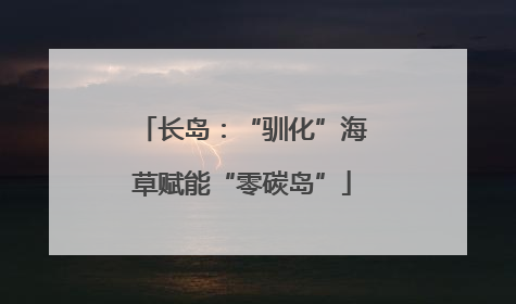 长岛：“驯化”海草赋能“零碳岛”