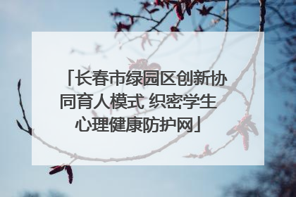 长春市绿园区创新协同育人模式 织密学生心理健康防护网