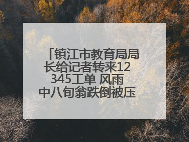 镇江市教育局局长给记者转来12345工单 风雨中八旬翁跌倒被压电瓶车下，扶不扶？镇江高职学子选择令人钦佩
