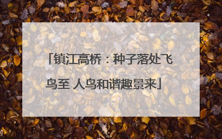 镇江高桥：种子落处飞鸟至 人鸟和谐趣景来