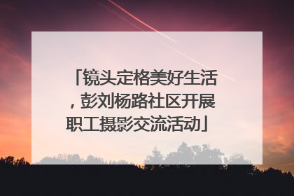 镜头定格美好生活，彭刘杨路社区开展职工摄影交流活动