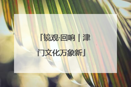 镜观·回响｜津门文化万象新