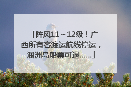 阵风11～12级！广西所有客渡运航线停运，涠洲岛船票可退……