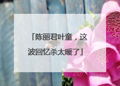 陈丽君叶童，这波回忆杀太暖了