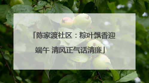 陈家渡社区：粽叶飘香迎端午 清风正气话清廉