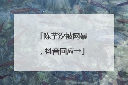 陈芋汐被网暴，抖音回应→