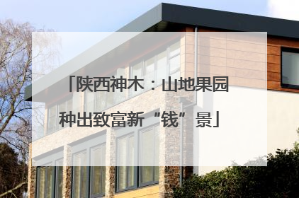 陕西神木：山地果园种出致富新“钱”景