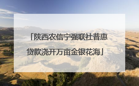 陕西农信宁强联社普惠贷款浇开万亩金银花海