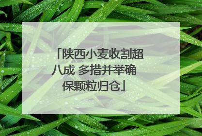 陕西小麦收割超八成 多措并举确保颗粒归仓