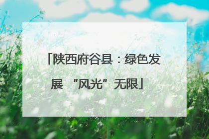 陕西府谷县：绿色发展 “风光”无限