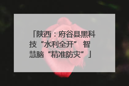 陕西：府谷县黑科技“水利全开” 智慧脑“精准防灾”
