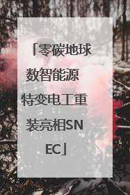 零碳地球数智能源 特变电工重装亮相SNEC