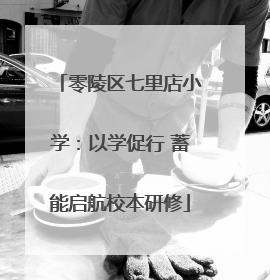 零陵区七里店小学：以学促行 蓄能启航校本研修