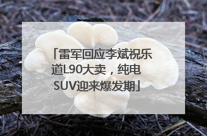 雷军回应李斌祝乐道L90大卖，纯电SUV迎来爆发期