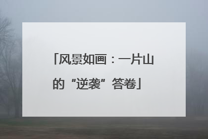 风景如画：一片山的“逆袭”答卷