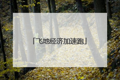 飞地经济加速跑