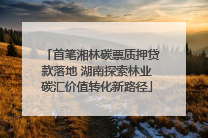 首笔湘林碳票质押贷款落地 湖南探索林业碳汇价值转化新路径