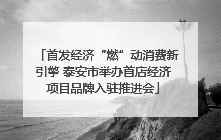 首发经济“燃”动消费新引擎 泰安市举办首店经济项目品牌入驻推进会