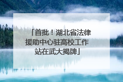 首批！湖北省法律援助中心驻高校工作站在武大揭牌