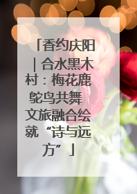香约庆阳｜合水黑木村：梅花鹿鸵鸟共舞 文旅融合绘就“诗与远方”