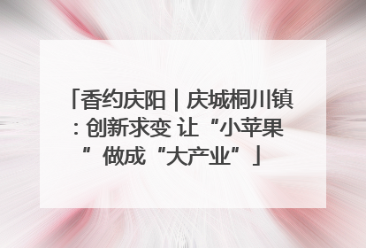 香约庆阳｜庆城桐川镇：创新求变 让“小苹果”做成“大产业”