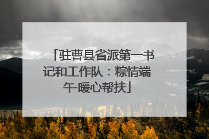 驻曹县省派第一书记和工作队：粽情端午·暖心帮扶