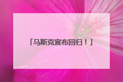 马斯克宣布回归！