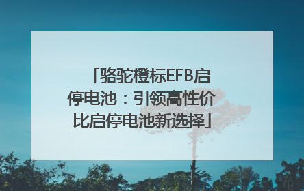 骆驼橙标EFB启停电池：引领高性价比启停电池新选择