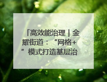 高效能治理｜金耀街道：“网格+”模式打造基层治理新样板