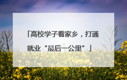 高校学子看家乡，打通就业“最后一公里”