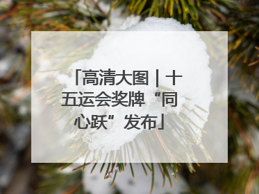 高清大图｜十五运会奖牌“同心跃”发布